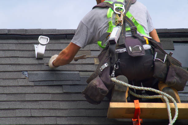 Professional Roofing Contractor in Collierville, TN